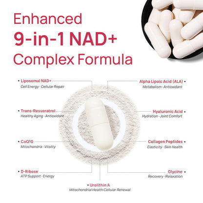 NAD+ Supplement for Women - NMN Alternative with β-NAD+, Trans-Resveratrol, CoQ10, D-Ribose - Promotes Cellular Renewal, Energy, and Radiant Skin Health - 60 Capsules Advanced